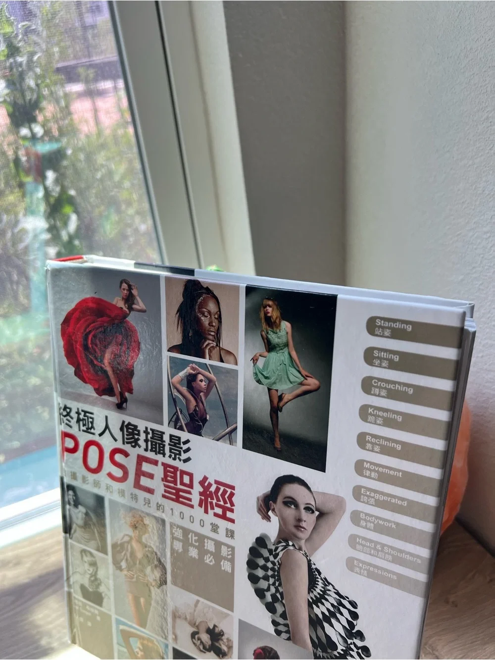 Photographing Models 1000 Poses Eliot Siegel Chinese Edition Photography Book